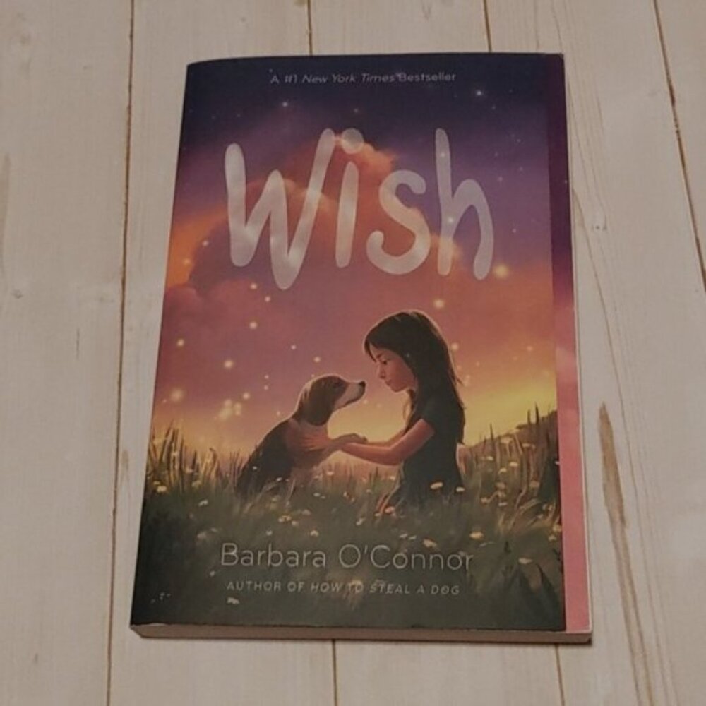 Wish By Barbara O'Connor Children Novel Fiction Book